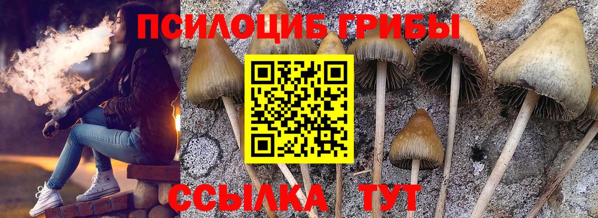 купить наркотик  Вход с VPN  Псилоцибиновые грибы GOLDEN TEACHER  Лосино-Петровский  Галлюциногенные грибы прущие грибы 
