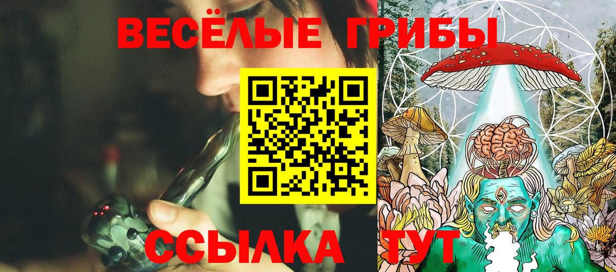 Псилоцибиновые грибы прущие грибы Лосино-Петровский